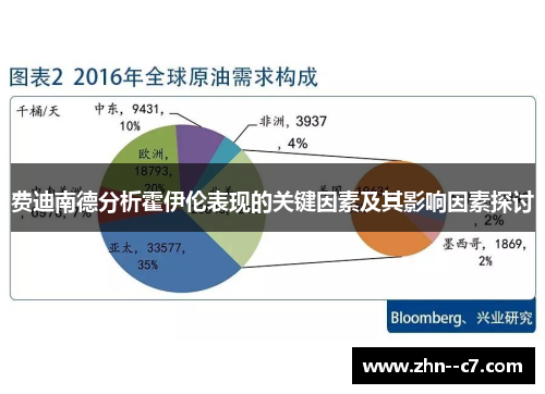 费迪南德分析霍伊伦表现的关键因素及其影响因素探讨