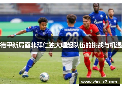 德甲新局面非拜仁独大崛起队伍的挑战与机遇